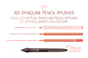 Sanguine Pencil Brushes