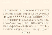 CS Cruze – Editorial Serif Font, a Serif Font by Craft Supply Co. (Thumbnail 8 of 8)