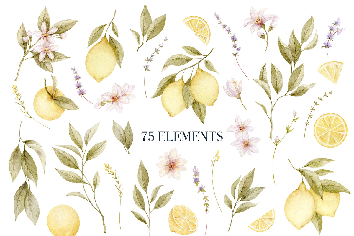 Mediterranean Lemon Olive Watercolor, an Object Illustration by Elena Medvedeva (Photo 7 of 10)