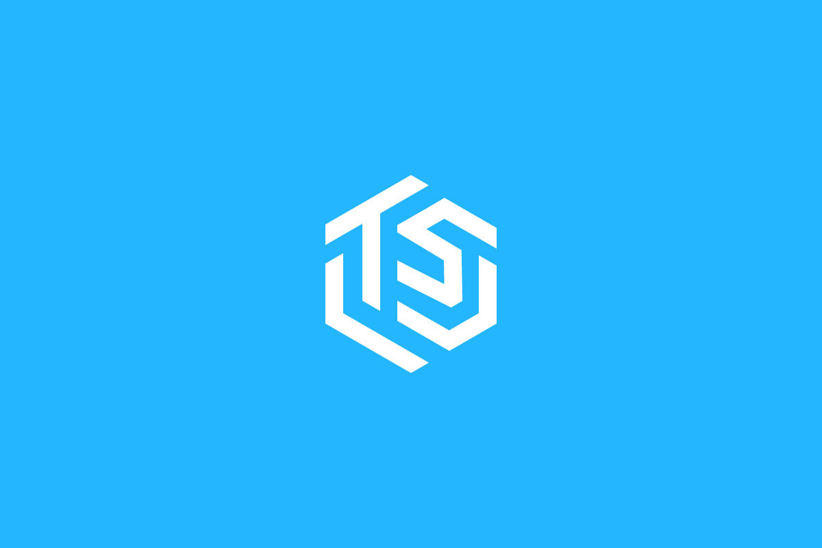 TS Monogram Logo - Modern & Geometric preview 7