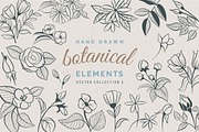 Hand Drawn Botanical Elements, a Decorative Illustration by Solana (Thumbnail 1 of 3)