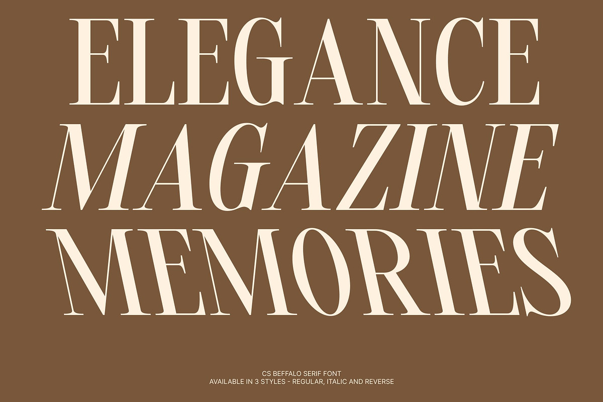 CS Beffalo – Elegant Serif Font, a Serif Font by Craft Supply Co. (Photo 3 of 8)