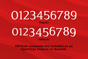 Quantik Contemporary Serif, a Serif Font by Parker Creative (Thumbnail 5 of 6)
