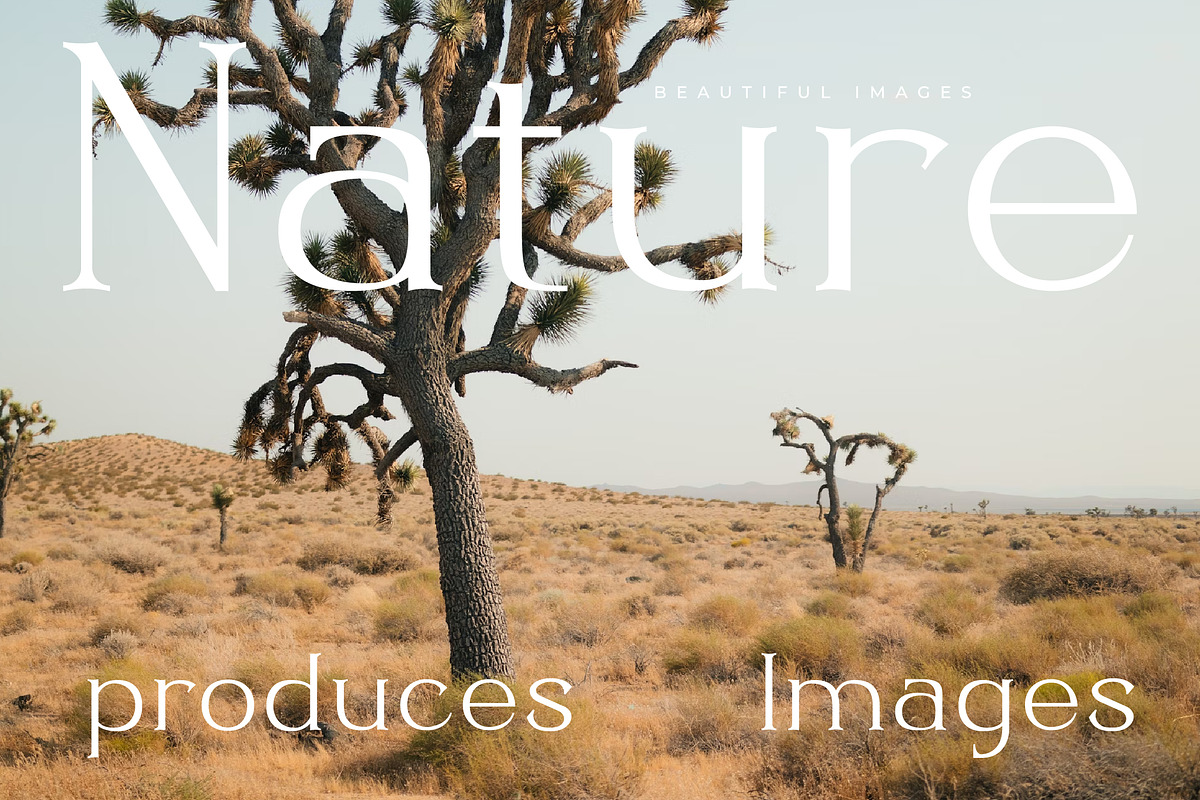 Haritego - Modern Serif, a Font by AmorfaType (Photo 6 of 10)