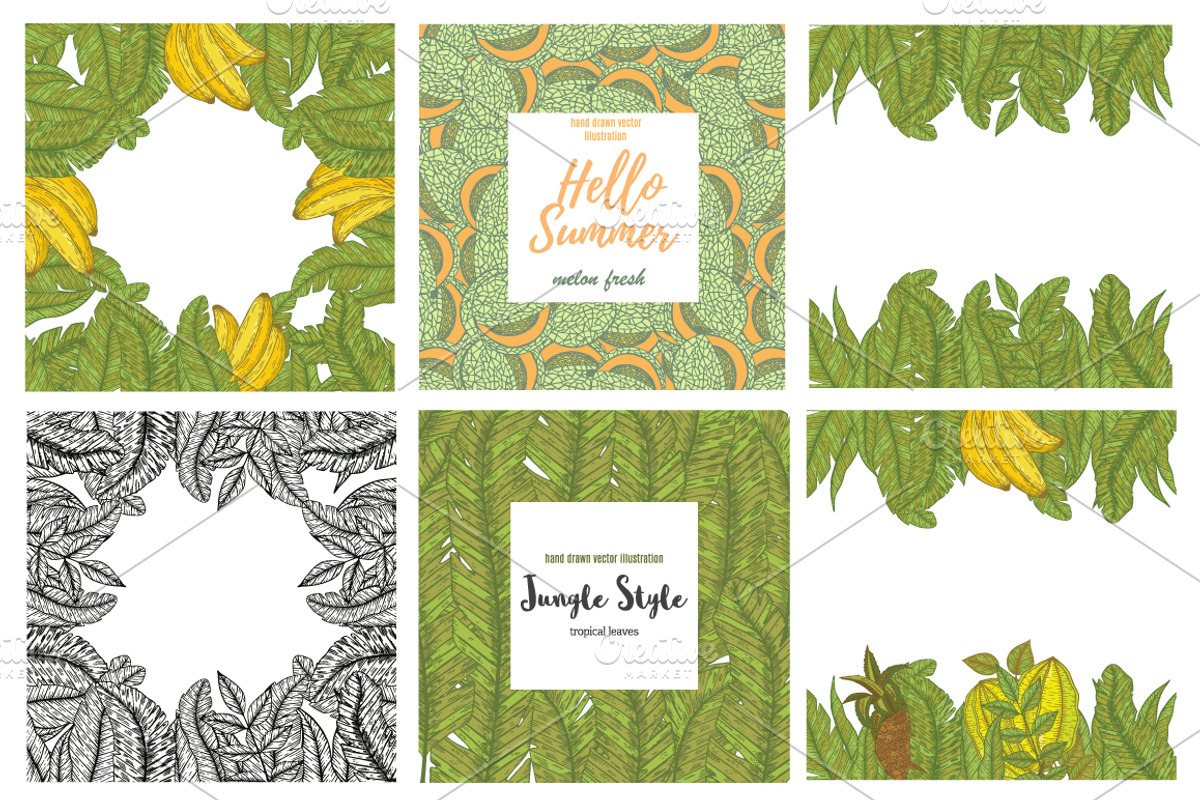 Tropical fruits collection, a Decorative Illustration by TashaDraw (Photo 5 of 10)