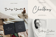 Premium Font Bundle Sale, a Script Font by Heinzel Std (Thumbnail 5 of 10)