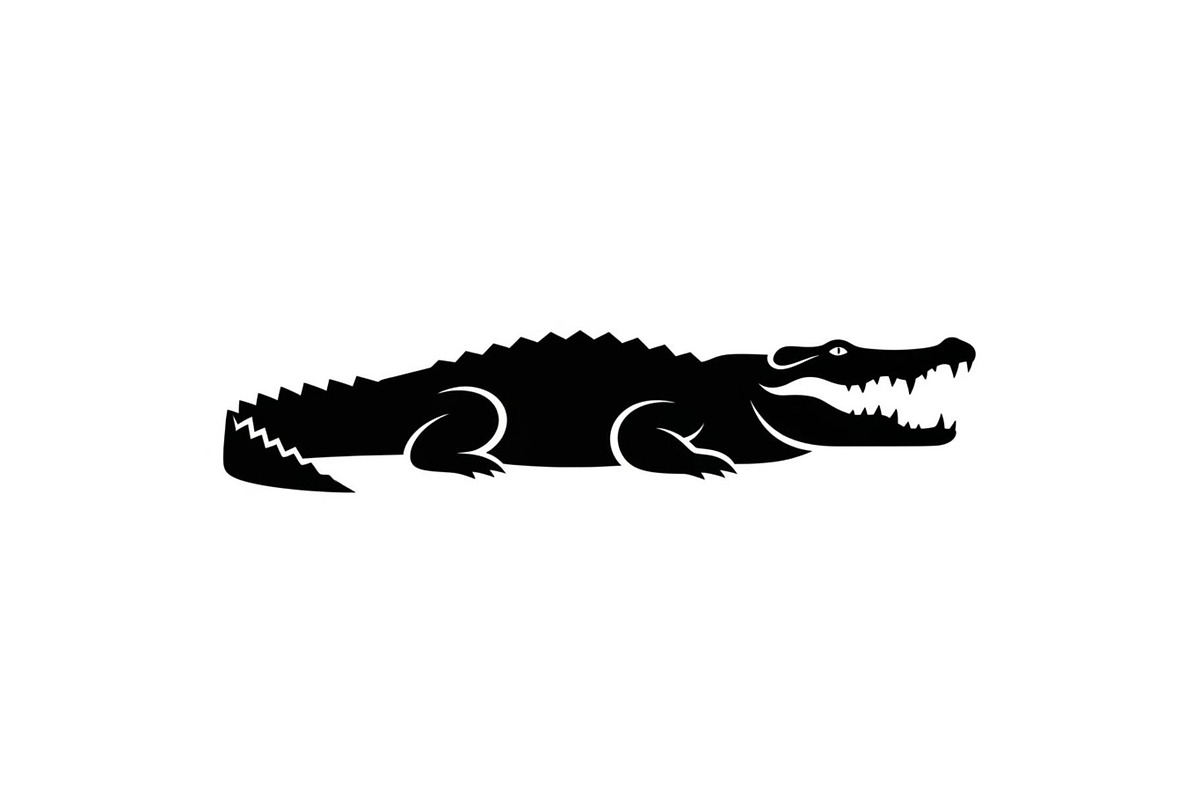 Crocodile Alligator Vector Bundle, an Illustration by jahid234 (Photo 41 of 51)