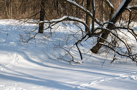 River under the snow, a Nature Photo by Schreibikus