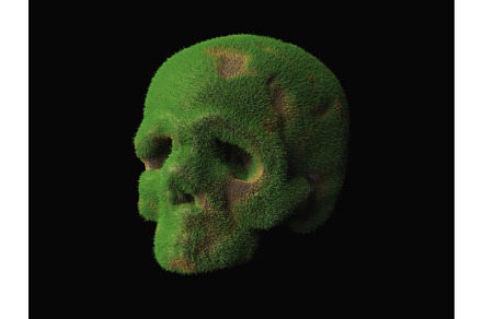 an old abandoned skull overgrown