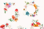 Watercolor Wildflowers & Leaves, a Decorative Illustration by Damian Roh (Thumbnail 12 of 24)