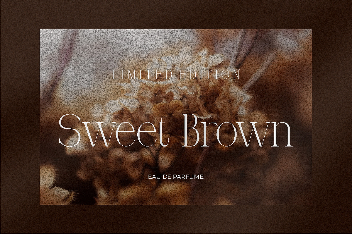 Qoency Modern Serif, a Serif Font by Glyphstyle (Photo 3 of 8)