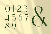 The Larove - Modern Elegant Serif, a Serif Font by Muflieart (Thumbnail 5 of 10)