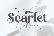 Mandira - Elegant Serif, a Serif Font by Arterfak Project (Thumbnail 9 of 9)