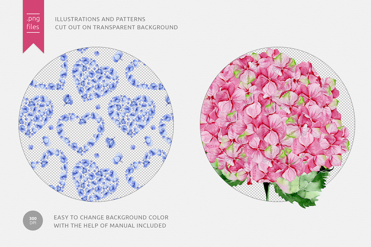 Hydrangea Flowers, a Decorative Illustration by Anna Myslivets Art (Photo 3 of 6)
