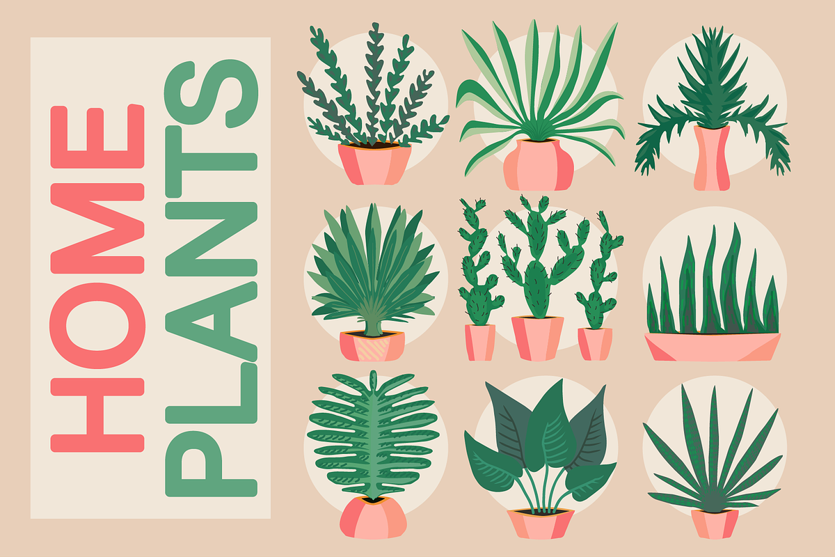 20+ icons of home plants in pots, a Solid Icon by ОльгаМороз (Photo 7 of 14)
