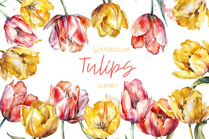 Watercolor Clipart, Floral Tulip png