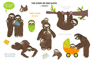 The Story Of One Sloth