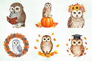 Autumn Owl Clipart Sublimation, an Illustration by Creative Art (Thumbnail 8 of 9)