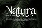 Glomen Modern Elegant Serif, a Serif Font by Alfinart (Thumbnail 6 of 11)