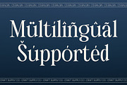 CS Balgin – Classic Font, a Serif Font by Craft Supply Co. (Thumbnail 5 of 8)