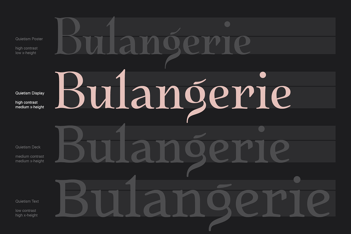 Quietism Display Base Pack, a Serif Font by Michael Rafailyk (Photo 8 of 12)