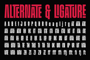 Division Grotesk Font Family, a Sans Serif Font by Asenbayu (Thumbnail 11 of 15)