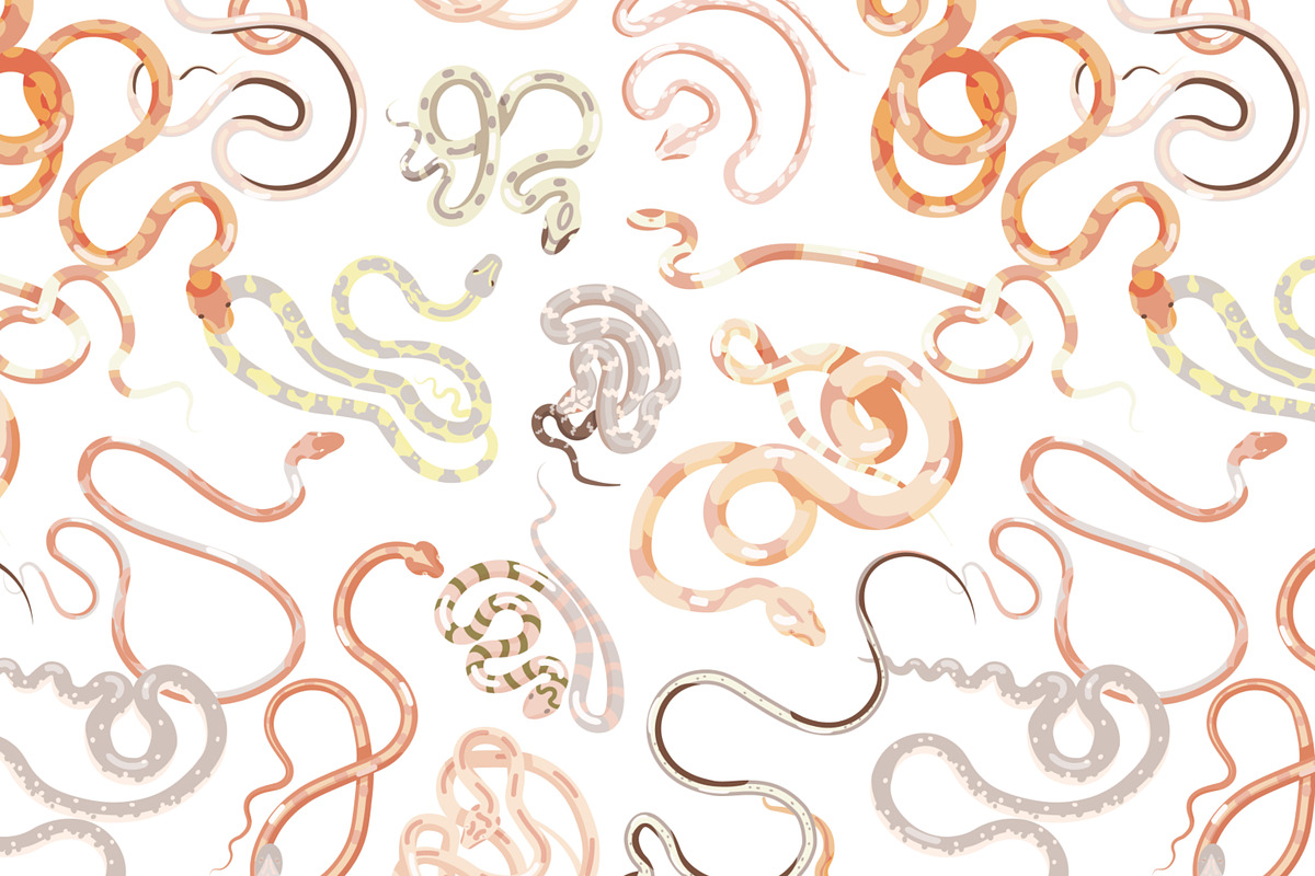 Snakes set and seamless, an Animal Illustration by Good Studio (Photo 5 of 10)