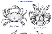 Crab Sketch Editable illustrations, an Object Graphic by Aquatinta (Thumbnail 2 of 11)
