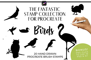 Procreate Brush Stamps - Birds