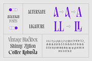 Avaleigh Fonts Family, a Serif Font by Asenbayu (Thumbnail 12 of 14)
