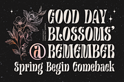 Canistel - Display Serif Font, a Serif Font by Unicode Studio (Thumbnail 10 of 13)