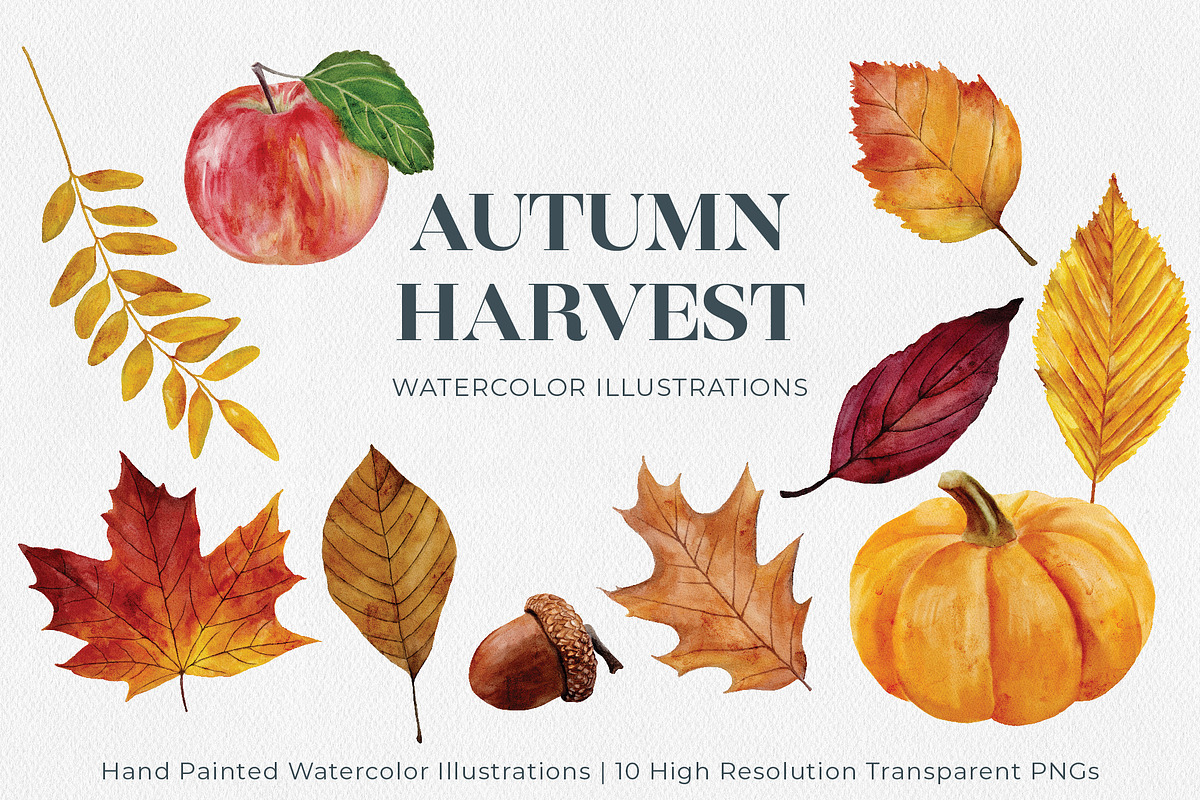 Autumn/Fall Watercolor Illustrations, an Illustration by Jeanette Pidi Design (Photo 1 of 5)