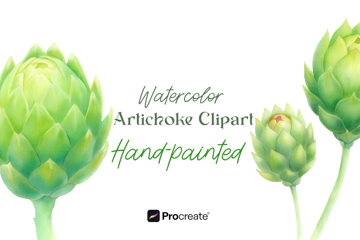 Hand-Painted Artichoke Clipart, a Decorative Illustration by crafty (Photo 1 of 6)