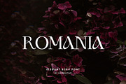 Romania Elegant Serif Font, a Serif Font by UICreative (Thumbnail 1 of 13)