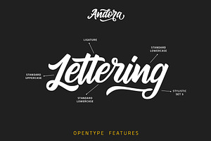 Andora Typeface