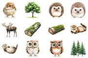 Cute Woodland Animal Clipart, an Illustration by CitraGraphics (Thumbnail 4 of 5)