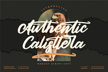 Authentic Calisttera Script Font LS