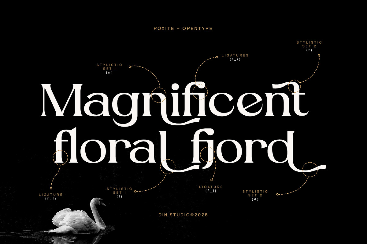 Roxite, a Serif Font by din-studio.com (Photo 5 of 16)