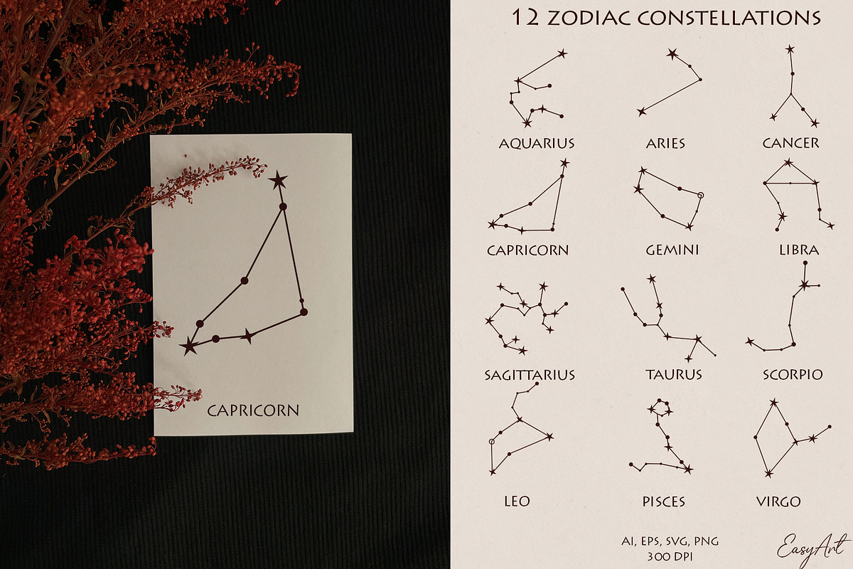 ZODIAC women and flowers collection, an Object Illustration by EasyArt (Photo 6 of 11)