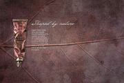 Faded Nature - Textured Backgrounds, a Background Graphic by Lidberia (Thumbnail 11 of 11)