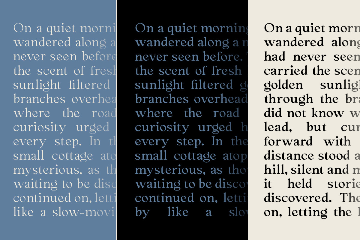 Cadera Serif | 162 Font Files, a Serif Font by Ws Studio (Photo 12 of 12)