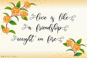 Belisha - A Lovely Script Font, a Script Font by Nissa Studio (Thumbnail 7 of 12)
