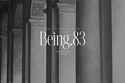 NT VALENTINO, a Serif Font by nevsky.type (Thumbnail 6 of 11)