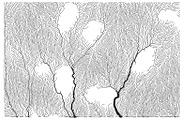 Growth - 50 Backgrounds, a Texture Graphic by GarryKillian (Thumbnail 10 of 51)