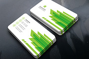 Natural Corporate Business Card, a Business Card Template by InfinityArt (Thumbnail 1 of 2)