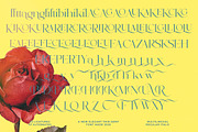 Briglo Shade Elegant Thin Serif, a Serif Font by timelesstype.co (Thumbnail 14 of 15)