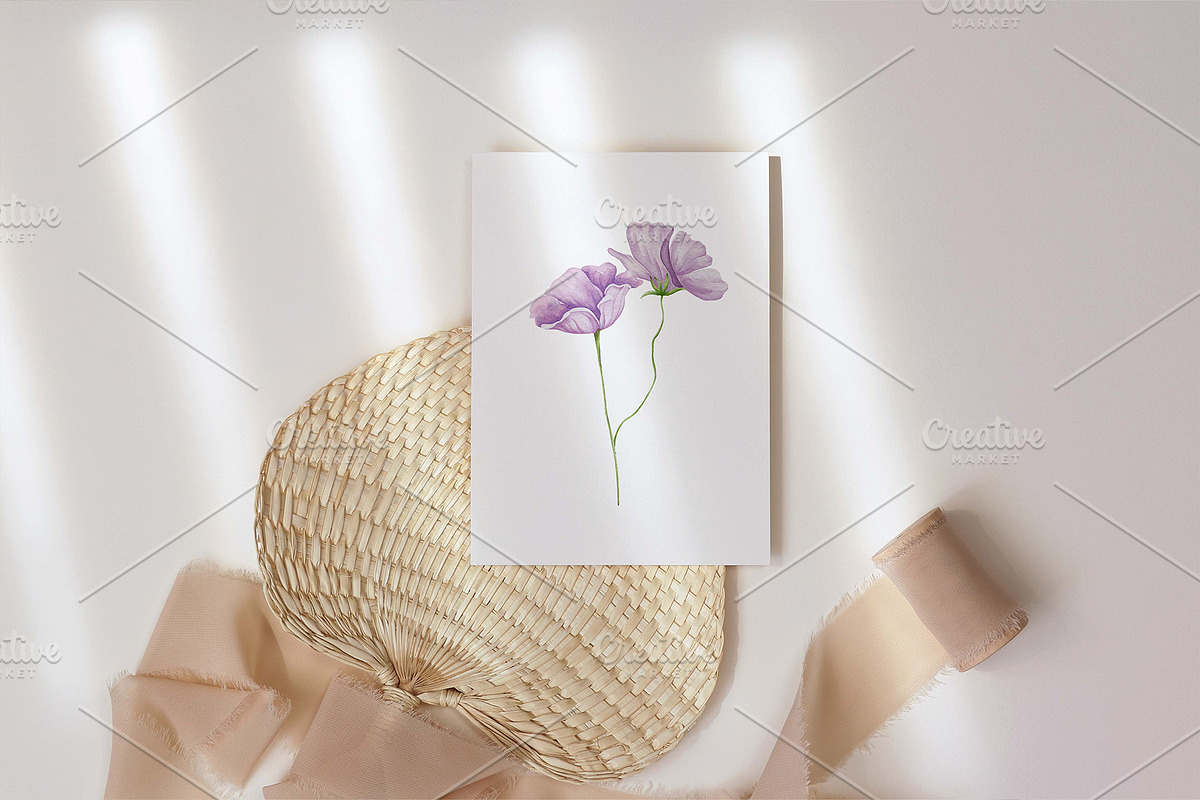 Watercolor Wildflowers Botanical Set, a Decorative Illustration by BarvArt (Photo 4 of 22)