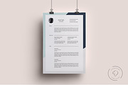 Professional Resume Template, a Resume Template by Leo Resume (Thumbnail 1 of 5)