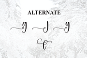 Winterly | Script Font, a Handwritten Font by Scratchones (Thumbnail 8 of 9)