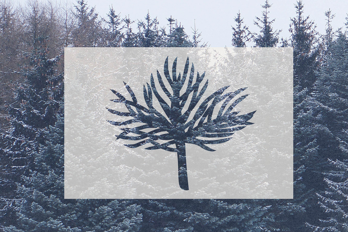 Winter Botanicals Clipart, a Seasonal Illustration by RaDavCrafts (Photo 2 of 12)
